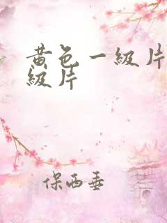 黄色一级片,一级片