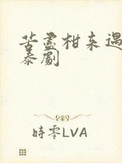 苦尽柑来遇见你泰剧