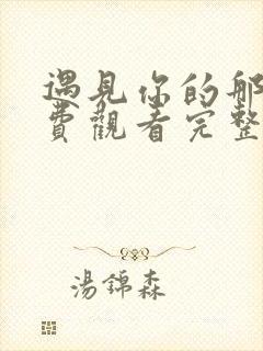 遇见你的那天免费观看完整版电视剧