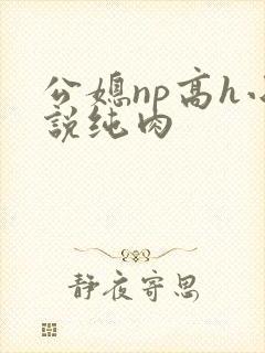 公媳np高h小说纯肉
