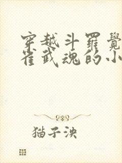 穿越斗罗觉醒朱雀武魂的小说