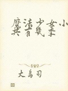 魔法少女小圆一共有几季