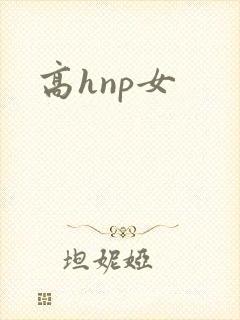 高hnp女