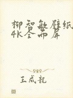 柳智敏壁纸超清4k全面屏