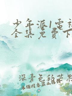 少年派1电视剧全集免费下载