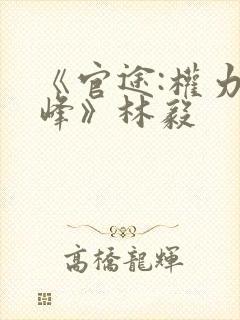 《官途:权力巅峰》林毅