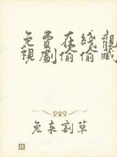 免费在线观看电视剧偷偷藏不住