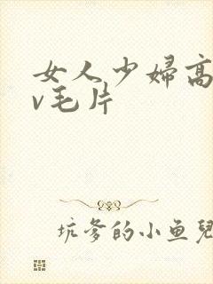 女人少妇高潮av毛片