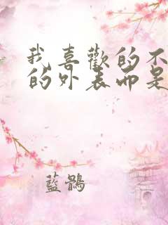 我喜欢的不是你的外表而是