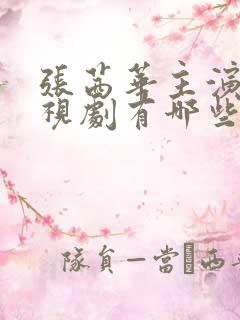 张茜华主演的电视剧有哪些