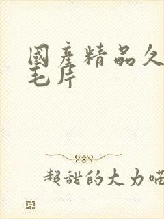 国产精品久久久毛片