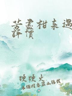 苦尽柑来遇见你评价