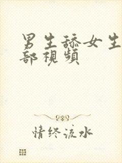 男生舔女生的阴部视频