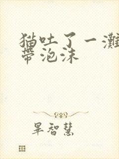 猫吐了一滩黄水带泡沫