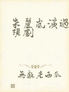 朱丽岚演过的电视剧