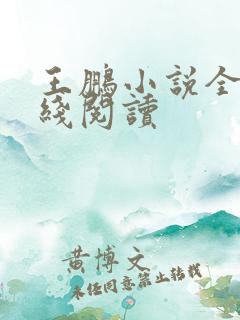 王鹏小说全集在线阅读