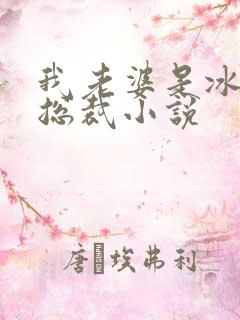 我老婆是冰山女总裁小说