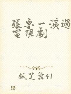 张鲁一演过什么电视剧