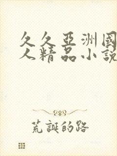 久久亚洲国产成人精品小说