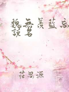 魏无羡蓝忘机小说名