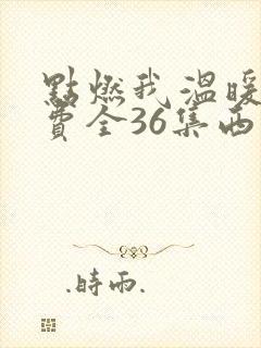 点燃我温暖你免费全36集西瓜