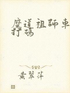 魔道祖师车图不打码