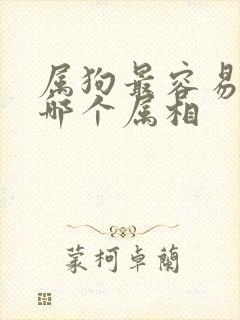 属狗最容易爱上哪个属相