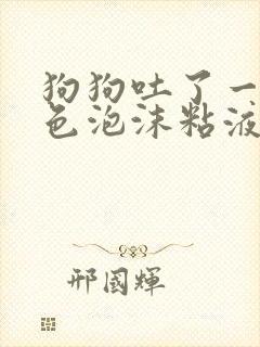 狗狗吐了一滩白色泡沫粘液