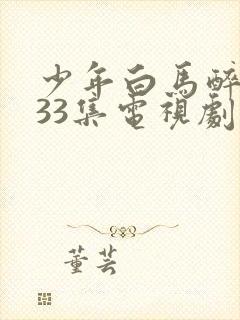 少年白马醉春风33集电视剧