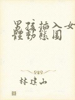 男孩插入女孩下体动态图