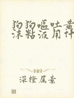 狗狗呕吐黄水泡沫粘液用什么药