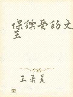 保镖受的文双男主