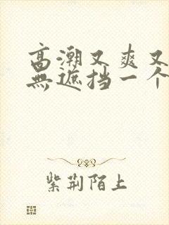 高潮又爽又黄又无遮挡一个人看的免费