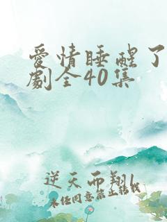 爱情睡醒了电视剧全40集