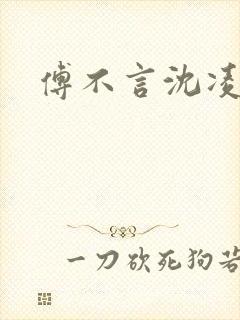 傅不言沈凌沈清