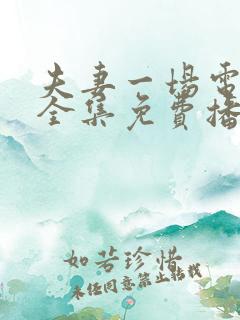 夫妻一场电视剧全集免费播放