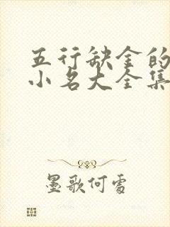 五行缺金的男孩小名大全集