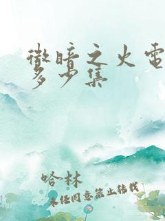 微暗之火电视剧多少集