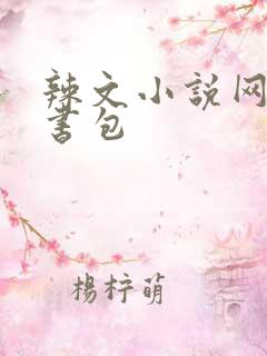辣文小说网第二书包