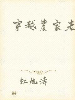 穿越农家老来女