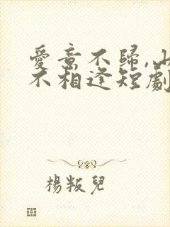 爱意不归,山水不相逢短剧