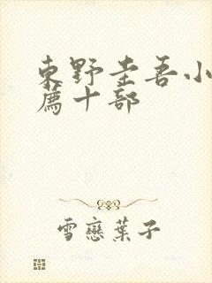 东野圭吾小说推荐十部