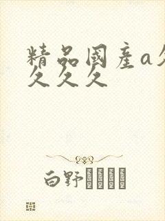 精品国产a久久久久久