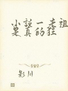 小说一老祖宗她是真的狂