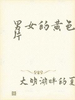 男女的黄色动作片