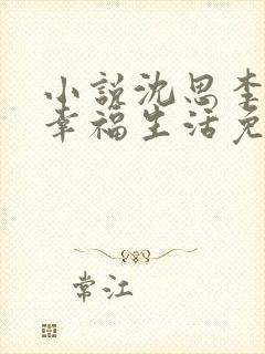 小说沈思李兵的幸福生活免费阅读