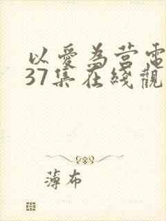 以爱为营电视剧37集在线观看