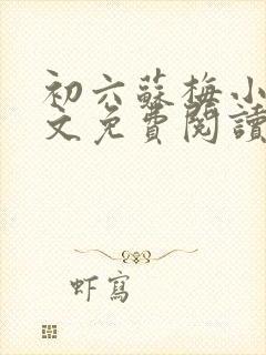 初六苏梅小说全文免费阅读笔趣阁