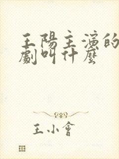 王阳主演的谍战剧叫什么