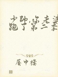 少帅,你老婆又跑了第二季